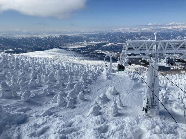 日帰りで楽しむ冬のスノボの魅力