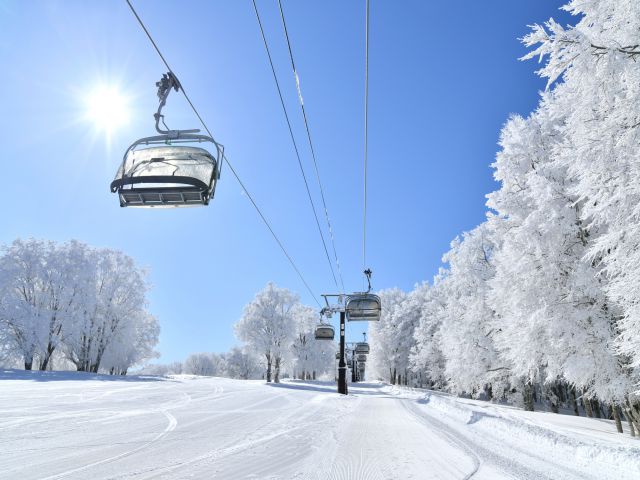 新幹線JRで楽しむスノボ旅行の魅力